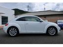 VOLKSWAGEN THE BEETLE