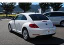 VOLKSWAGEN THE BEETLE