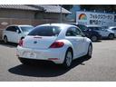 VOLKSWAGEN THE BEETLE