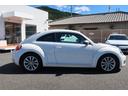 VOLKSWAGEN THE BEETLE