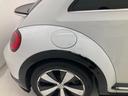 VOLKSWAGEN THE BEETLE