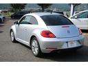 VOLKSWAGEN THE BEETLE