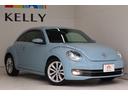 VOLKSWAGEN THE BEETLE