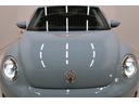 VOLKSWAGEN THE BEETLE