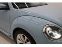 VOLKSWAGEN THE BEETLE