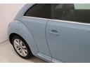 VOLKSWAGEN THE BEETLE