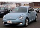 VOLKSWAGEN THE BEETLE