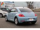 VOLKSWAGEN THE BEETLE