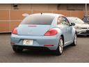 VOLKSWAGEN THE BEETLE