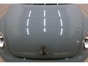 VOLKSWAGEN THE BEETLE