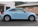 VOLKSWAGEN THE BEETLE