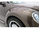 VOLKSWAGEN THE BEETLE