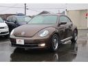 VOLKSWAGEN THE BEETLE