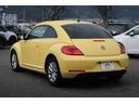 VOLKSWAGEN THE BEETLE
