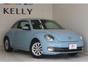 VOLKSWAGEN THE BEETLE