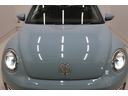 VOLKSWAGEN THE BEETLE