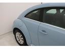 VOLKSWAGEN THE BEETLE