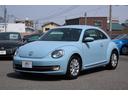 VOLKSWAGEN THE BEETLE
