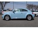 VOLKSWAGEN THE BEETLE