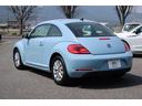 VOLKSWAGEN THE BEETLE