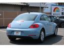 VOLKSWAGEN THE BEETLE