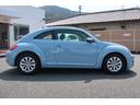 VOLKSWAGEN THE BEETLE