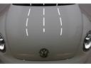 VOLKSWAGEN THE BEETLE