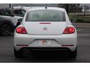 VOLKSWAGEN THE BEETLE