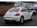 VOLKSWAGEN THE BEETLE