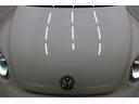 VOLKSWAGEN THE BEETLE
