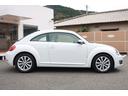 VOLKSWAGEN THE BEETLE