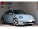 VOLKSWAGEN THE BEETLE