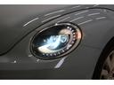 VOLKSWAGEN THE BEETLE