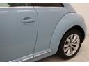 VOLKSWAGEN THE BEETLE