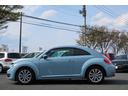 VOLKSWAGEN THE BEETLE