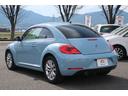 VOLKSWAGEN THE BEETLE