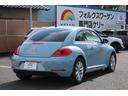 VOLKSWAGEN THE BEETLE