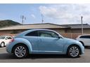 VOLKSWAGEN THE BEETLE