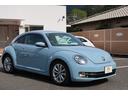 VOLKSWAGEN THE BEETLE