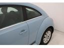 VOLKSWAGEN THE BEETLE