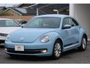 VOLKSWAGEN THE BEETLE
