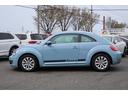 VOLKSWAGEN THE BEETLE