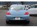 VOLKSWAGEN THE BEETLE