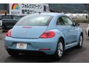 VOLKSWAGEN THE BEETLE