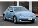 VOLKSWAGEN THE BEETLE