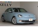 VOLKSWAGEN THE BEETLE