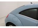 VOLKSWAGEN THE BEETLE