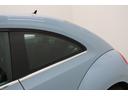VOLKSWAGEN THE BEETLE