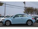 VOLKSWAGEN THE BEETLE