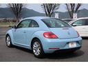 VOLKSWAGEN THE BEETLE